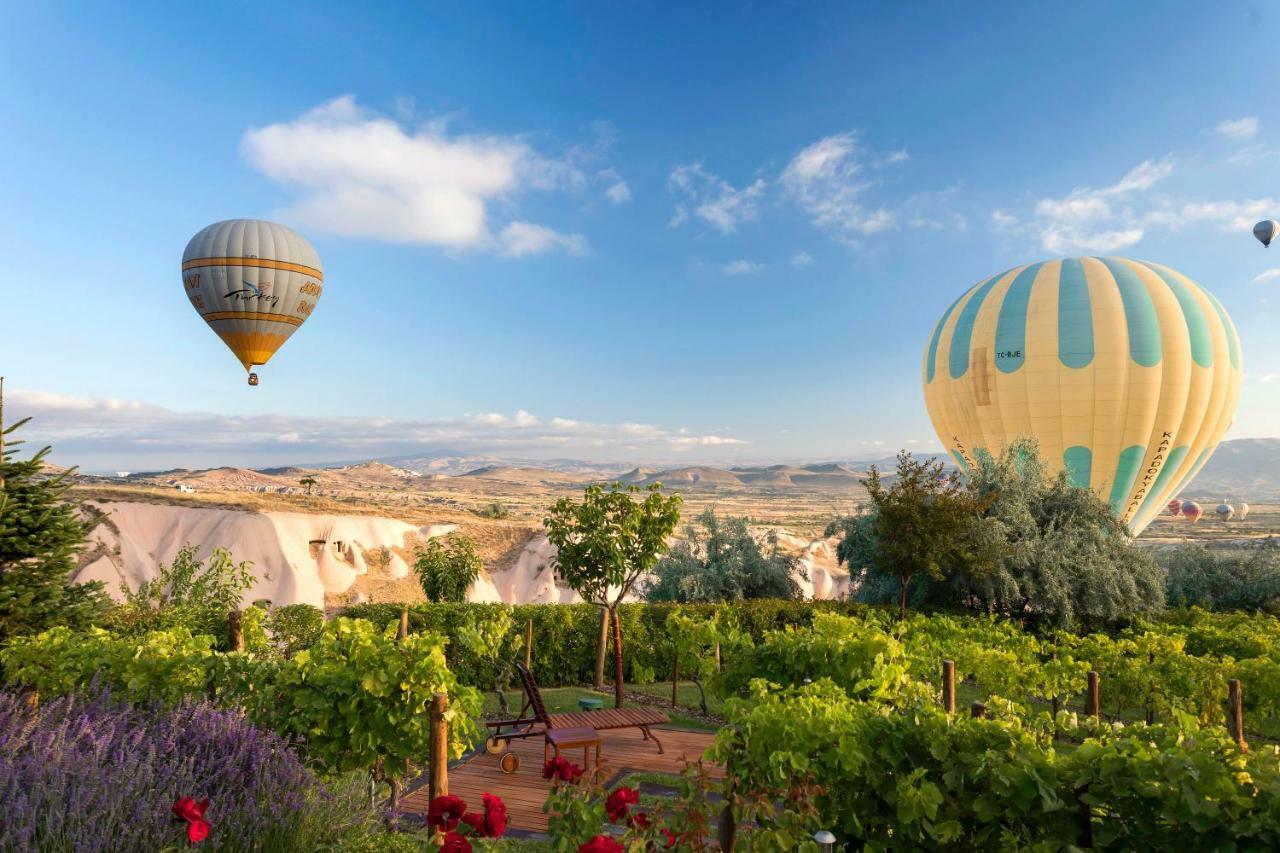 Ariana Sustainable Luxury Lodge - Special Category - Cappadocia Uçhisar Extérieur photo