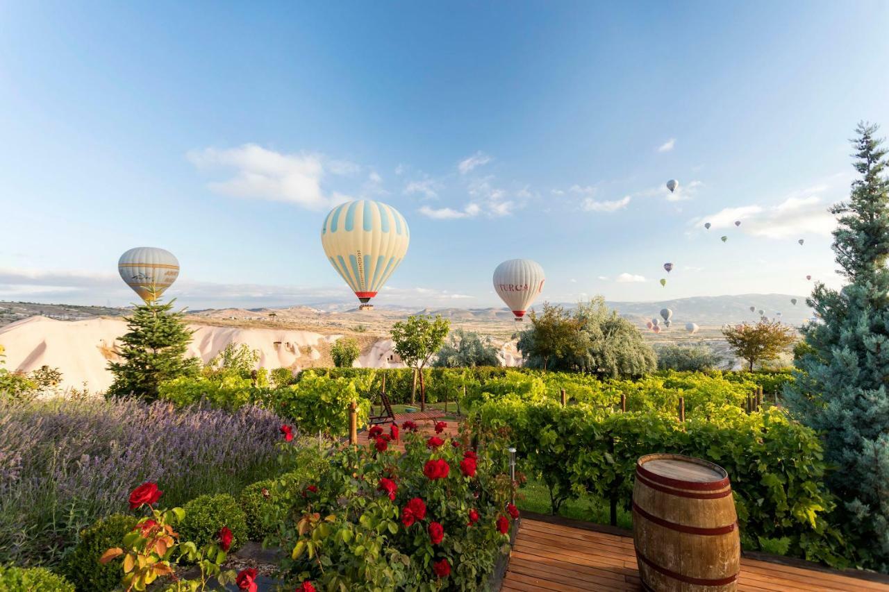 Ariana Sustainable Luxury Lodge - Special Category - Cappadocia Uçhisar Extérieur photo